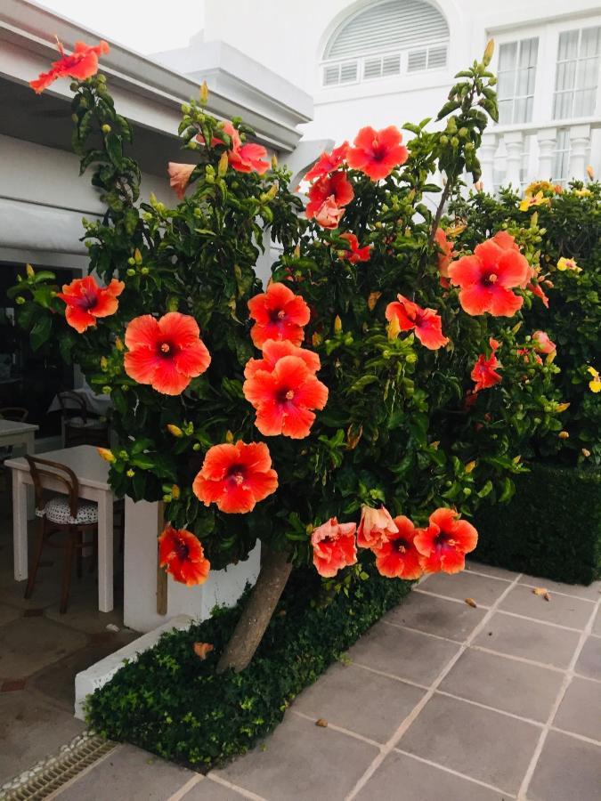 Our Hermanus House Bagian luar foto