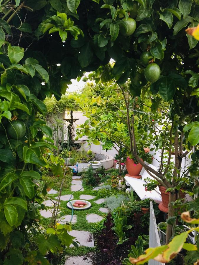 Our Hermanus House Bagian luar foto